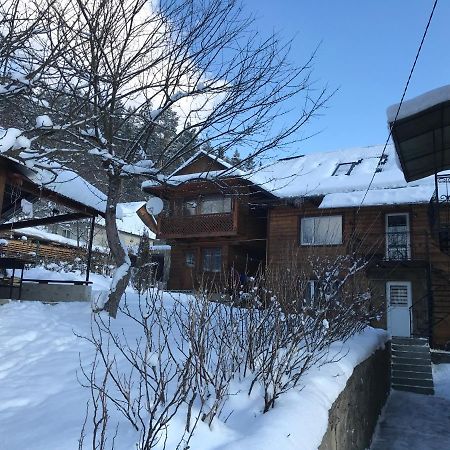 ヤレムチャ Під Лісом У Гідаヴィラ エクステリア 写真