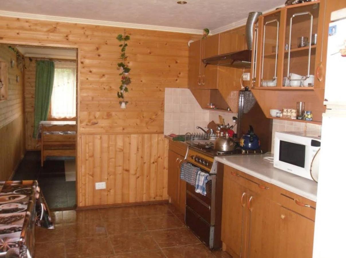 ヤレムチャ Під Лісом У Гідаヴィラ エクステリア 写真